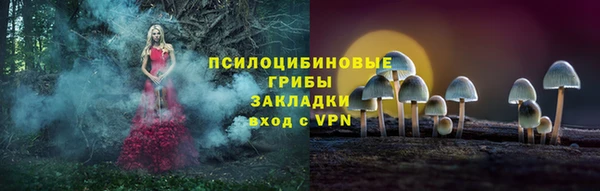 мяу мяу мука Алексин
