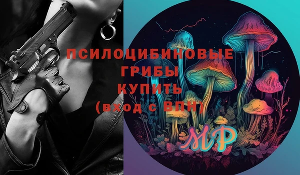 соль ск Алексеевка