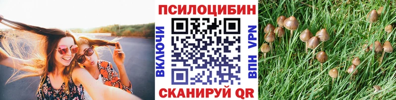 цена наркотик Бийск Псилоцибиновые грибы MAGIC MUSHROOMS