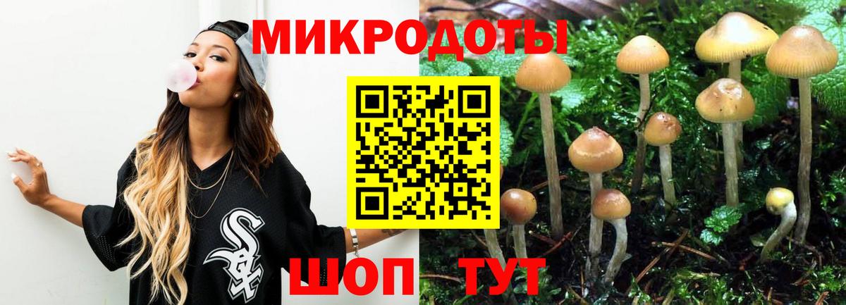 цена   Вход с VPN  Бийск  Галлюциногенные грибы Psilocybe  Галлюциногенные грибы Magic Shrooms 