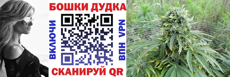 купить  сайты  блэк спрут зеркало  МАРИХУАНА Amnesia  Бийск 